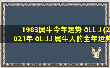 1983属牛今年运势 🍀 (2021年 🐕 属牛人的全年运势男性1983年)